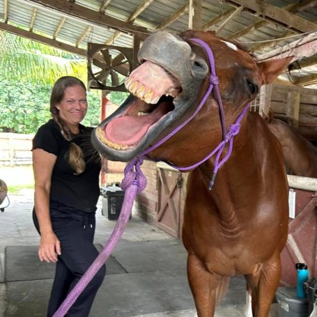 Horse Massage Relief Silly