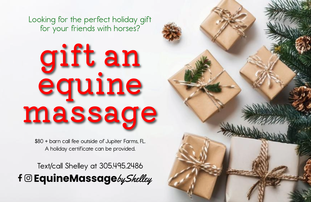 Gift an Equine Massage Promo