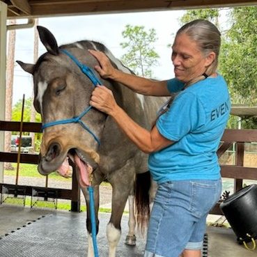Horse Massage Yawning